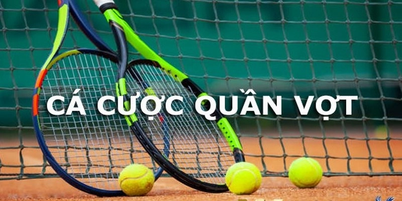 Cá Cược Quần Vợt tại OK365X – Hướng Dẫn Chi Tiết Cho Người Mới Và Kinh Nghiệm Từ Cao Thủ 2 Cá cược quần vợt tại OK365